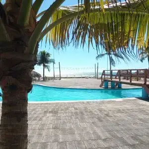 Tropical poolside view with palm trees